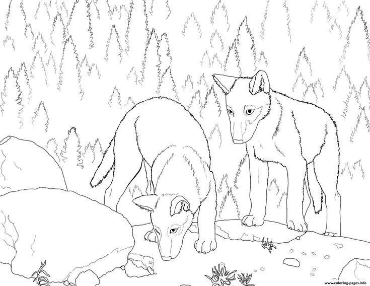 735x568 9 Best Coloring Pages For Trinity Images On Coloring