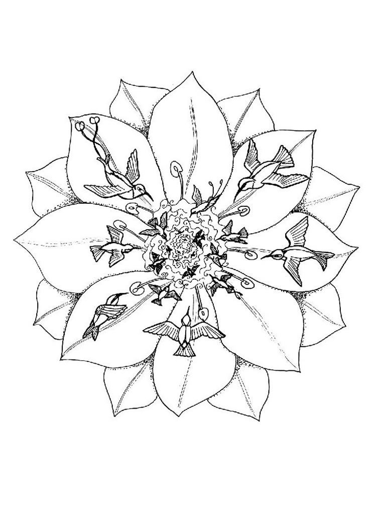 749x1060 Mandalas To Print And Color For Adults Animal Mandalas