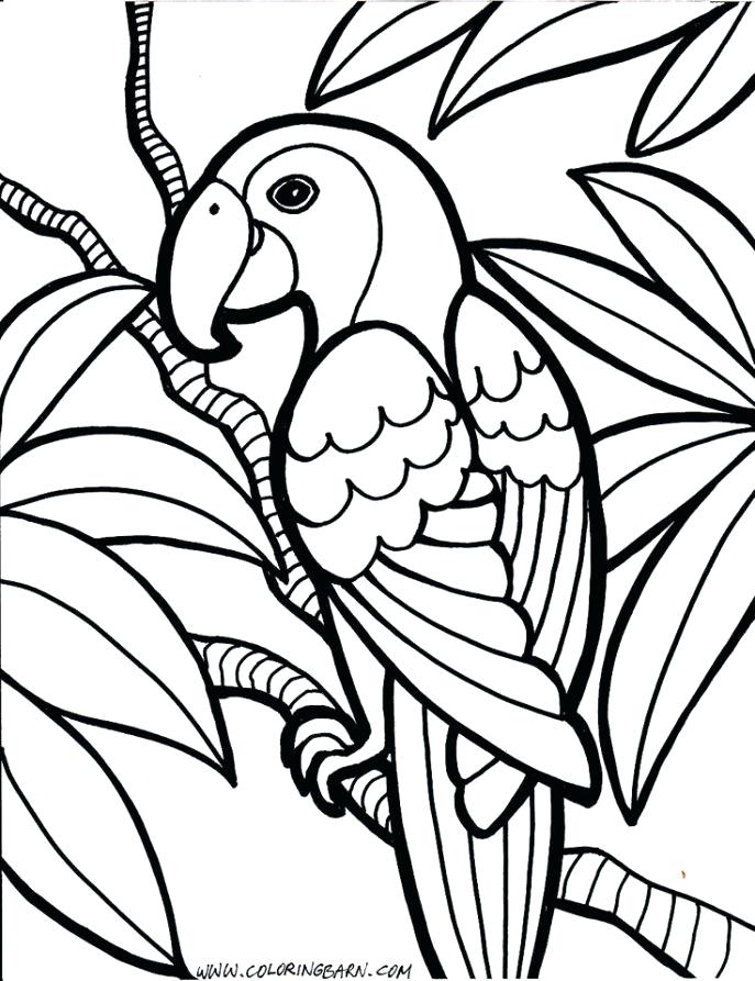 687x893 Medium Coloring Pages Erf Coloring