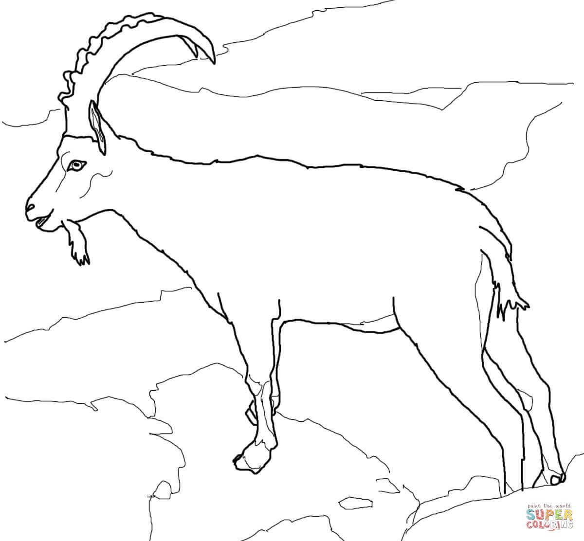 1200x1112 Meerkat Coloring Pages Printable For Musical Instruments Pictures