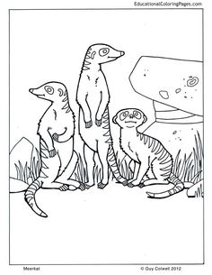 236x305 Pin By Muse Printables On Coloring Pages