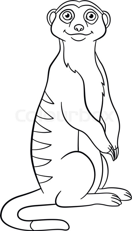 459x800 Coloring Pages. Little Cute Meerkat Stands And Smiles. Stock