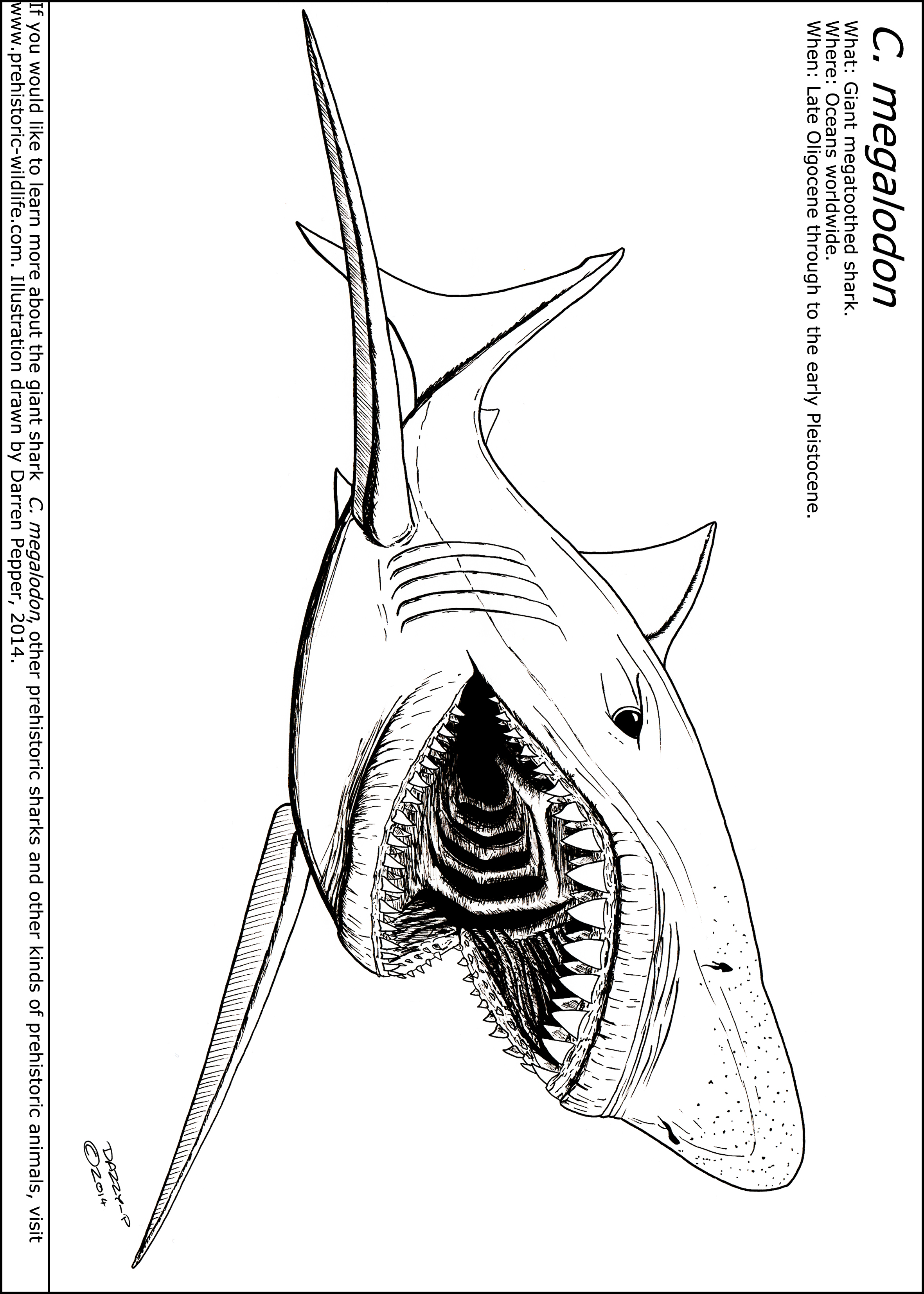 2362x3307 Megalodon Coloring Pages