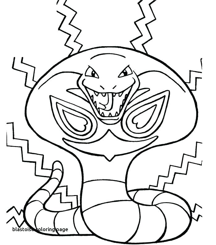 700x795 Megalodon Para Colorear Photo Gallery Of Para For Flower Pot