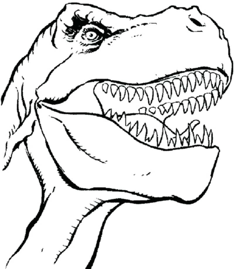 816x918 Megalodon Coloring Pages To Print Professional