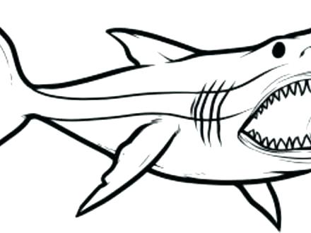 440x330 Megalodon Shark Coloring Pages