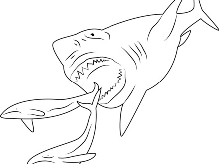 Megalodon Shark Coloring Pages