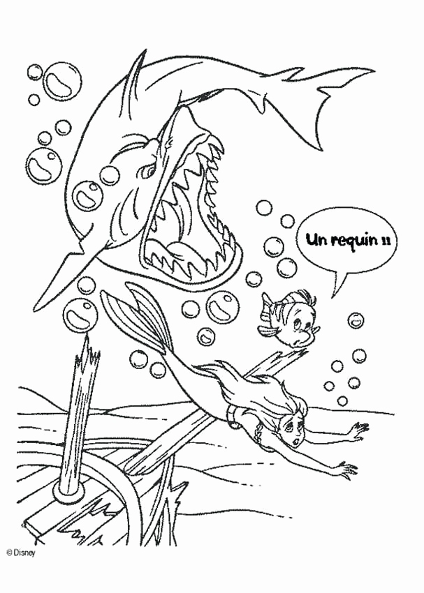 607x850 Megalodon Coloring Pages To Print Image Megalodon Shark Coloring