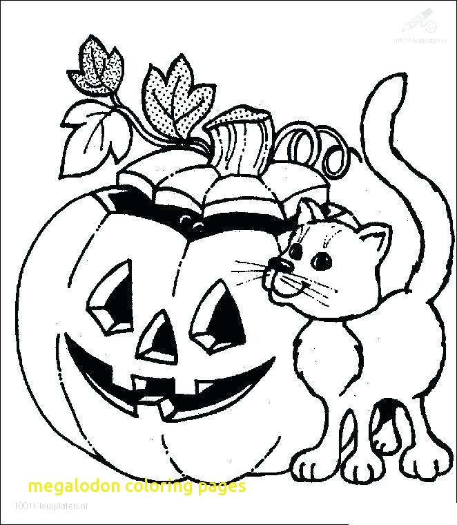 662x760 Megalodon Coloring Pages With Megalodon Shark Coloring Pages Shark