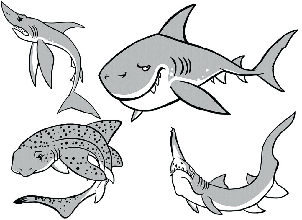 1024x745 Megalodon Shark Coloring Pages Coloring Page Shark Shark Coloring