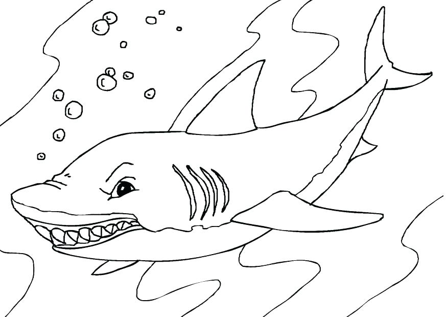 875x620 Megalodon Shark Coloring Pages Shark Coloring Pages By Coloring