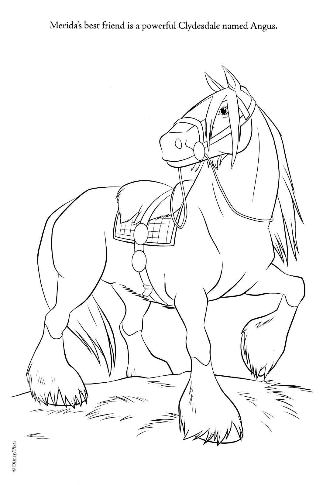 1063x1597 Brave Coloring Pages Angus