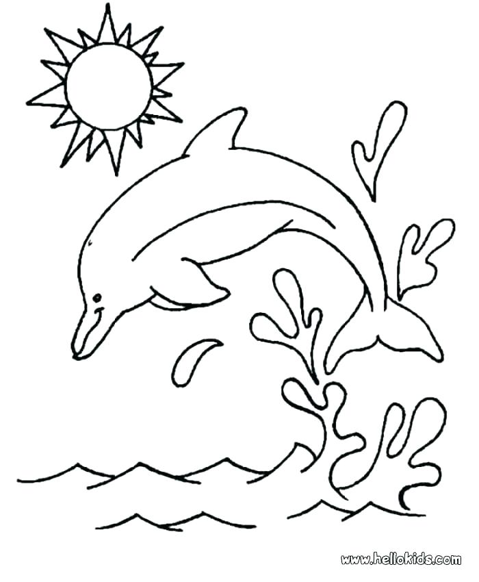 700x850 Dolphin Coloring Pages Coral Reef Fish Dolphin Coloring Dolphin