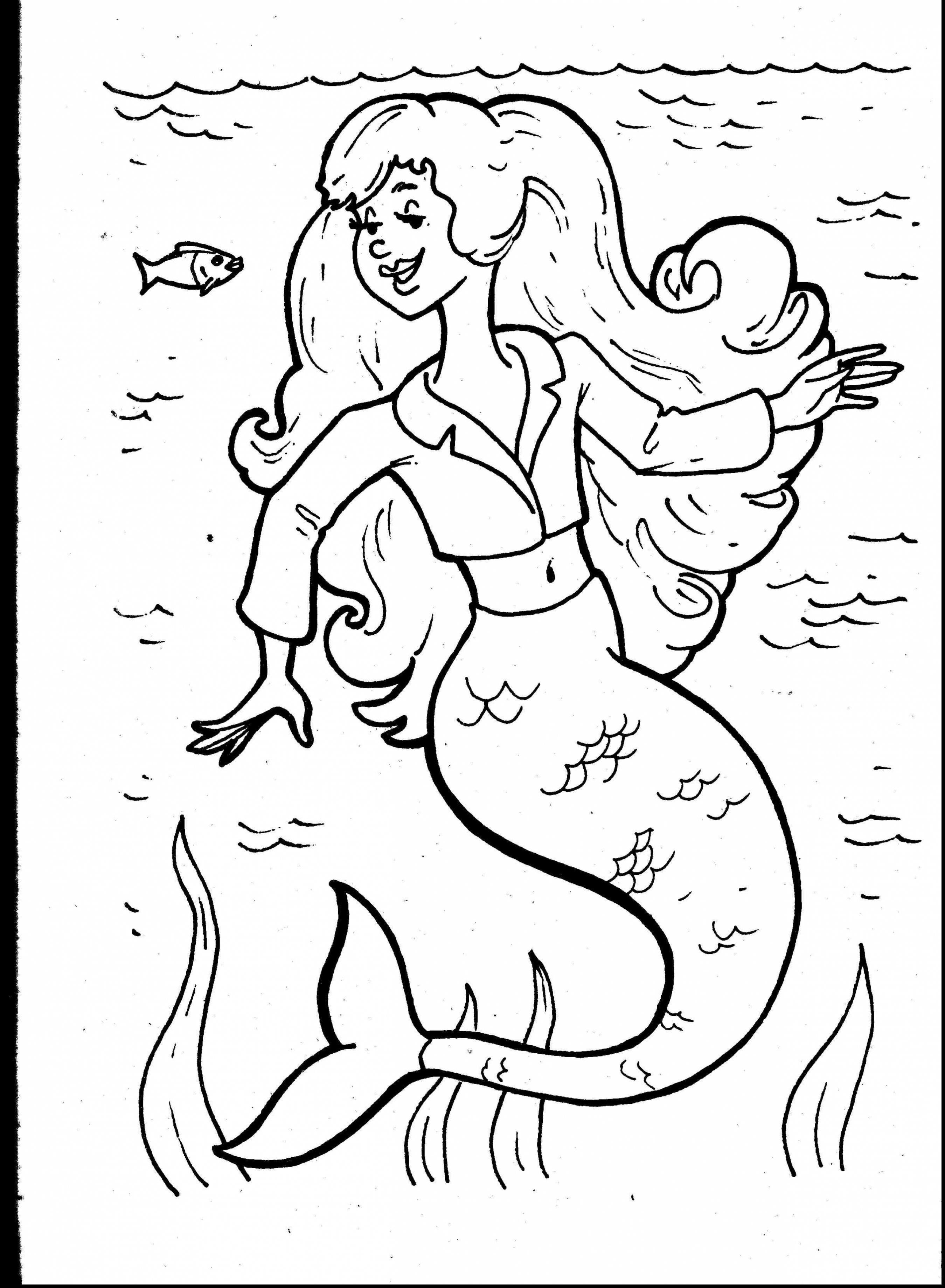2699x3677 Mermaid And Dolphin Coloring Pages