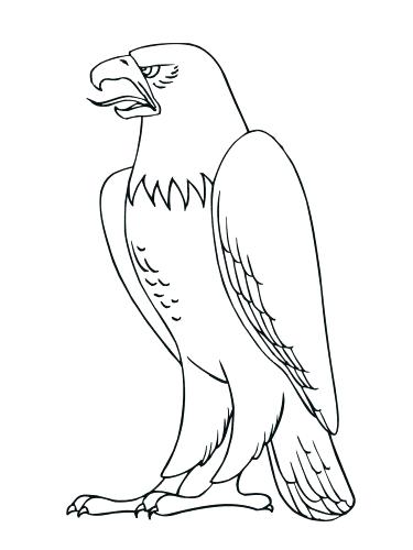 375x500 Mexico Flag Coloring Page Coloring Pages Flag Coloring Page