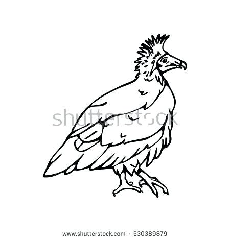 450x470 Flag Coloring Page And Flag Coloring Page Flag Coloring Page You