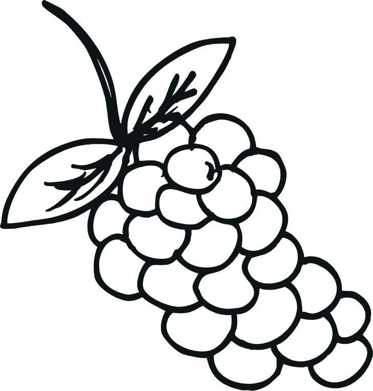 728x763 Food Junk Food Coloring Page Download Print Online Printable