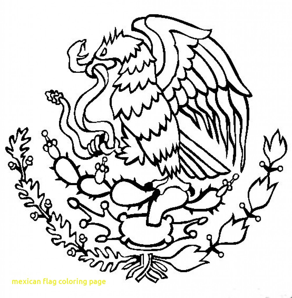 1004x1024 Opportunities Mexican Flag Drawings How To Draw 7733 1004 1024
