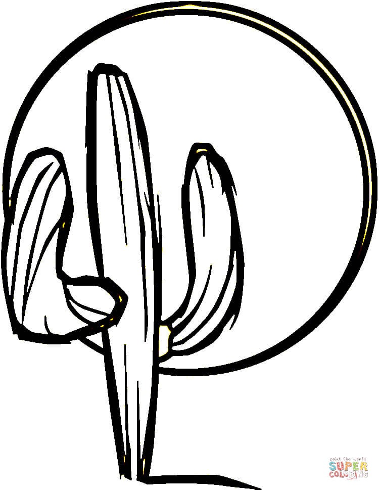 750x969 Mexican Culture Coloring Pages Best Of Mexico Coloring Pages