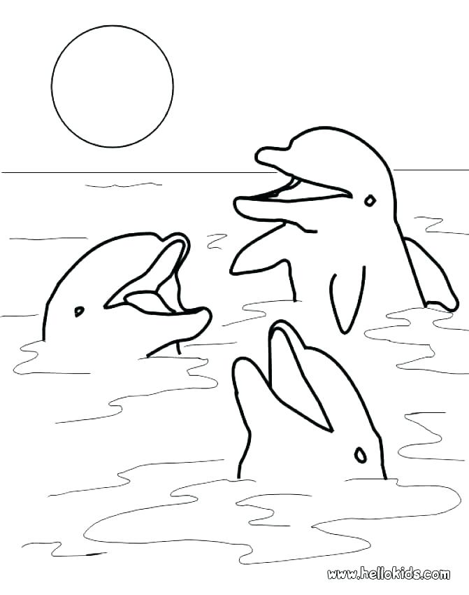 671x850 Free Printable Miami Dolphins Coloring Pages Page Stunning Print