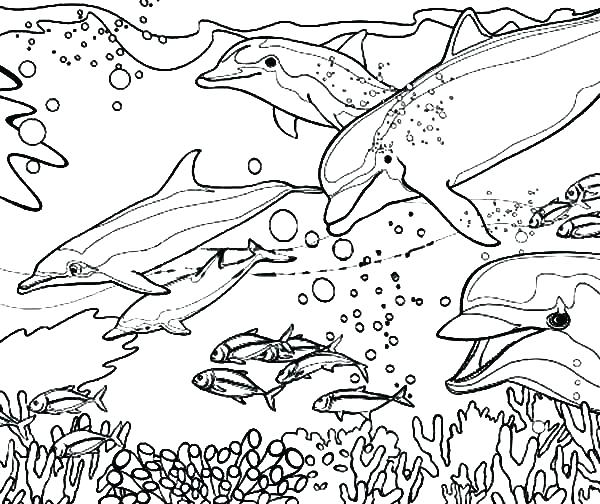 600x504 New Saints Logo Coloring Page Free Printable Coloring Pages Miami