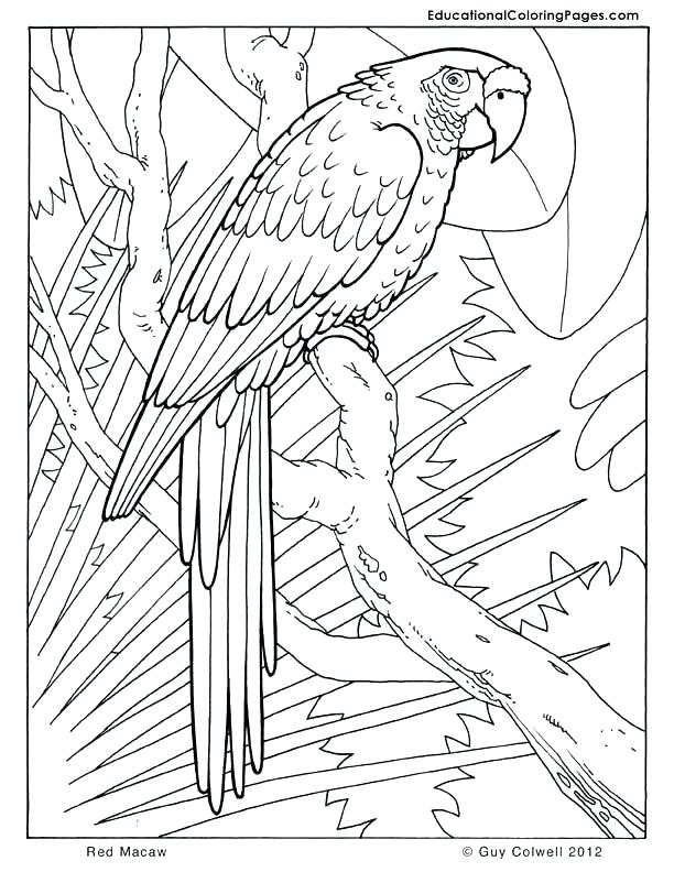 612x792 Coloring Pages Com Packed With Coloring Pages Heat Coloring Pages
