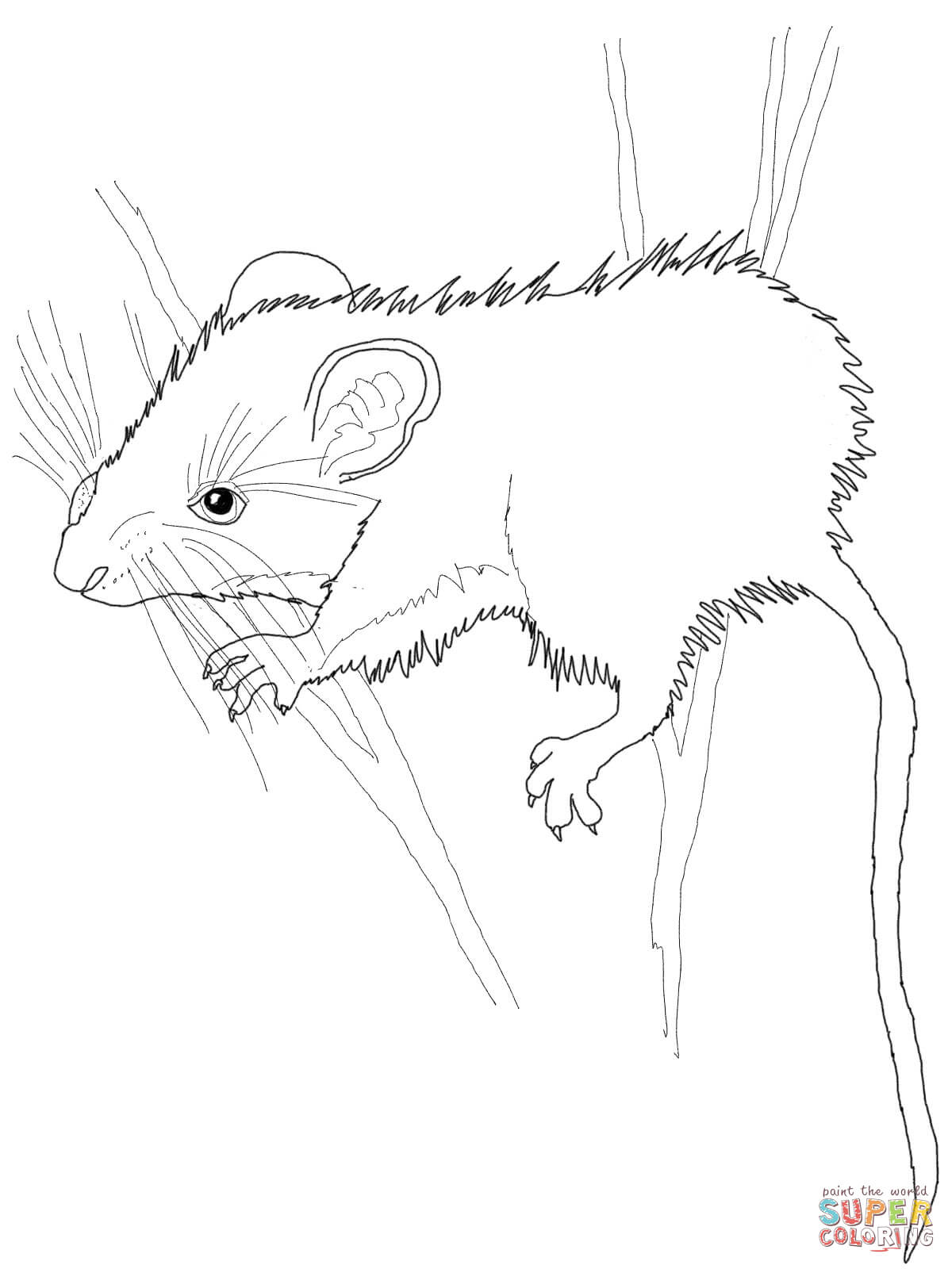 1200x1600 Fascinating Mouse Coloring Page Mice Pages Fre
