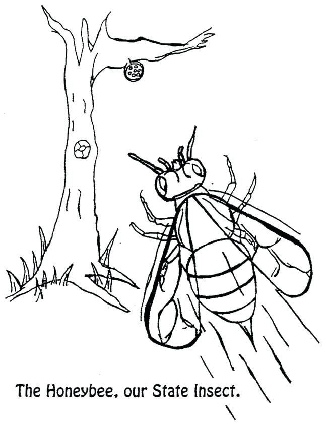 647x843 Michigan Coloring Pages State Seal Coloring Page Photos Coloring