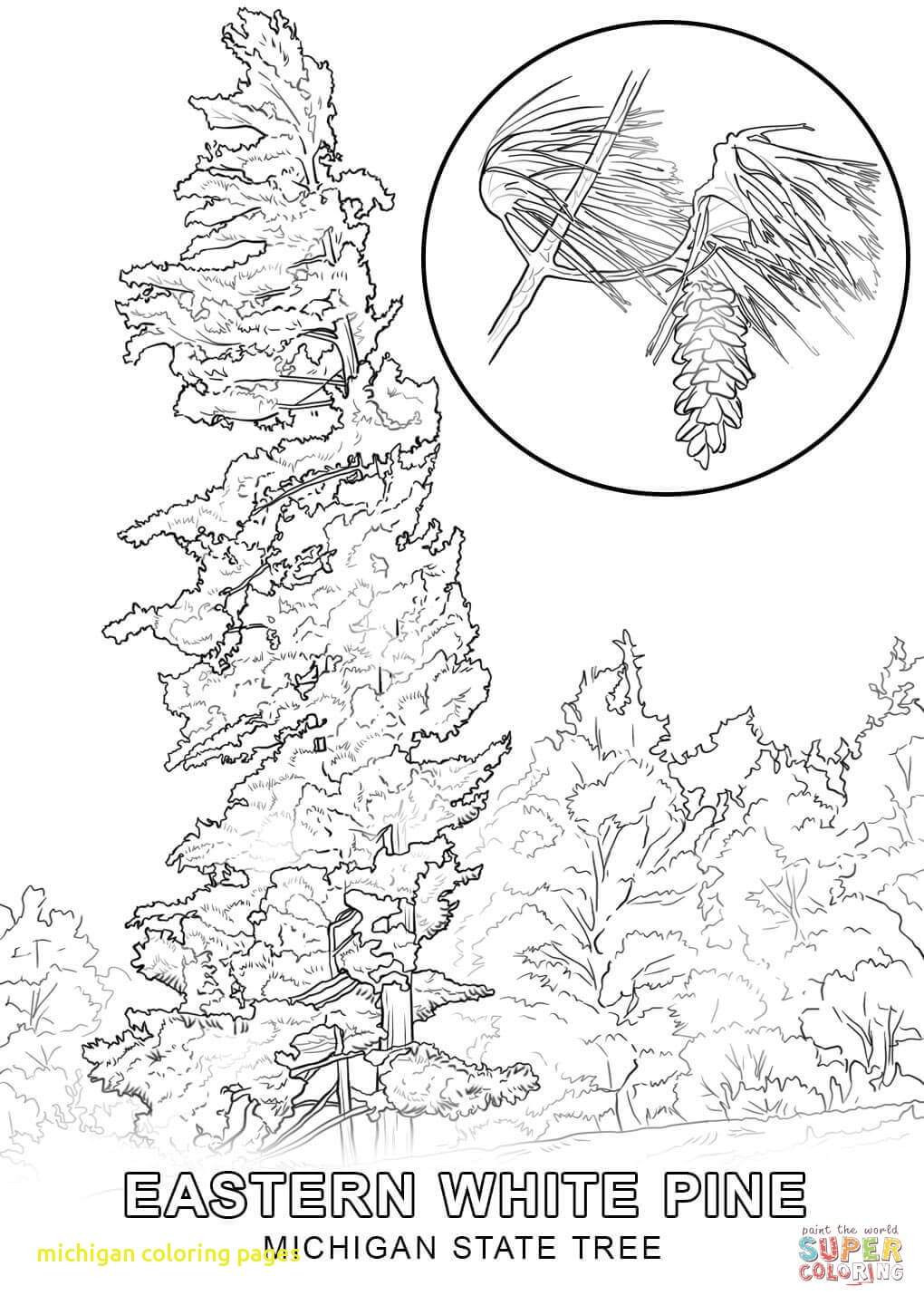 1020x1440 Michigan Coloring Pages