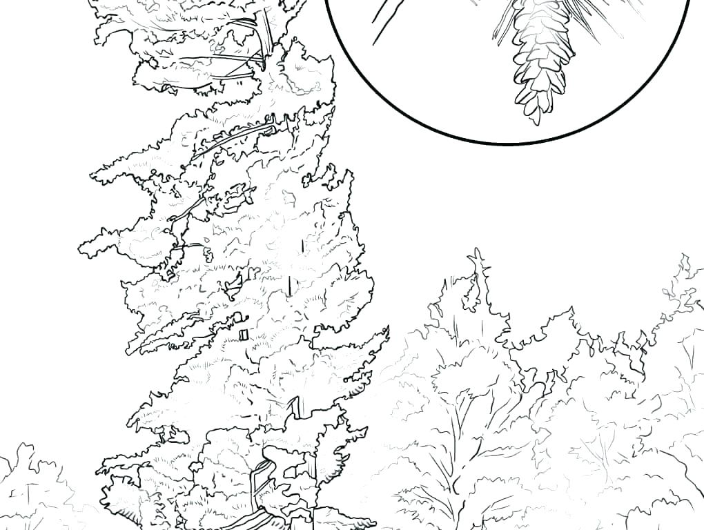 1020x768 Coloring Book As Well As State Flag Coloring Page State Coloring