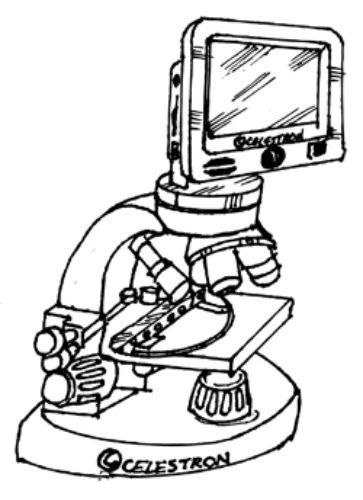 363x500 Lcd Digital Microscope