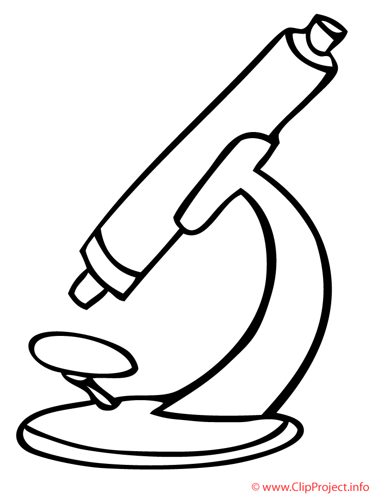 730x973 Microscope Image To Color Guest Ideas