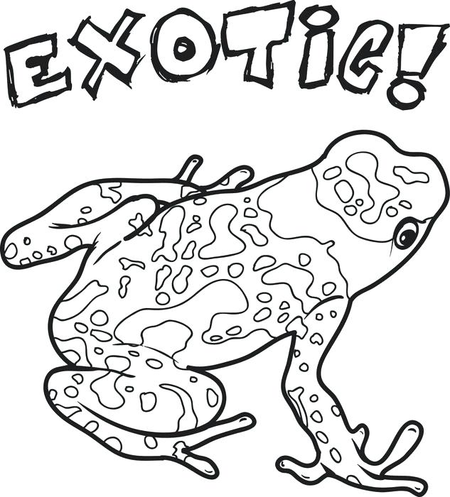 633x700 Middle School Coloring Pages Exotic Frog Coloring Page Middle