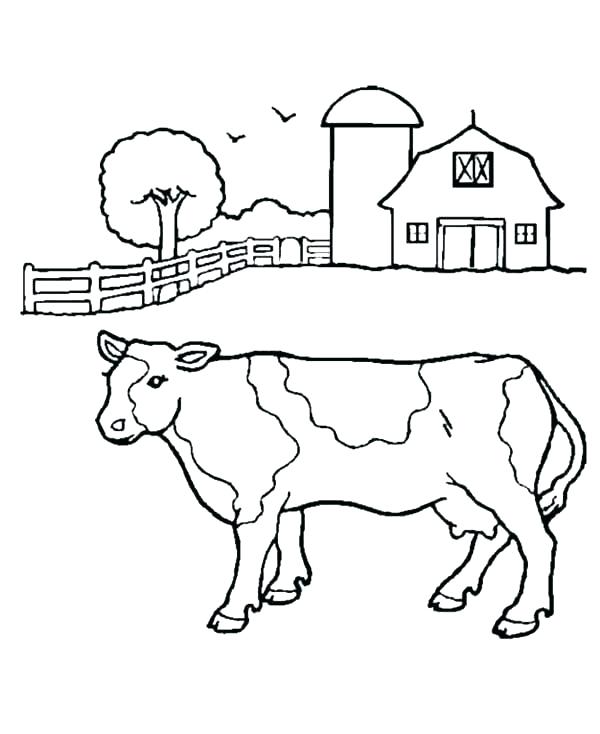 600x734 Milk Coloring Page Cow Milk Carton Coloring Page Milk Products