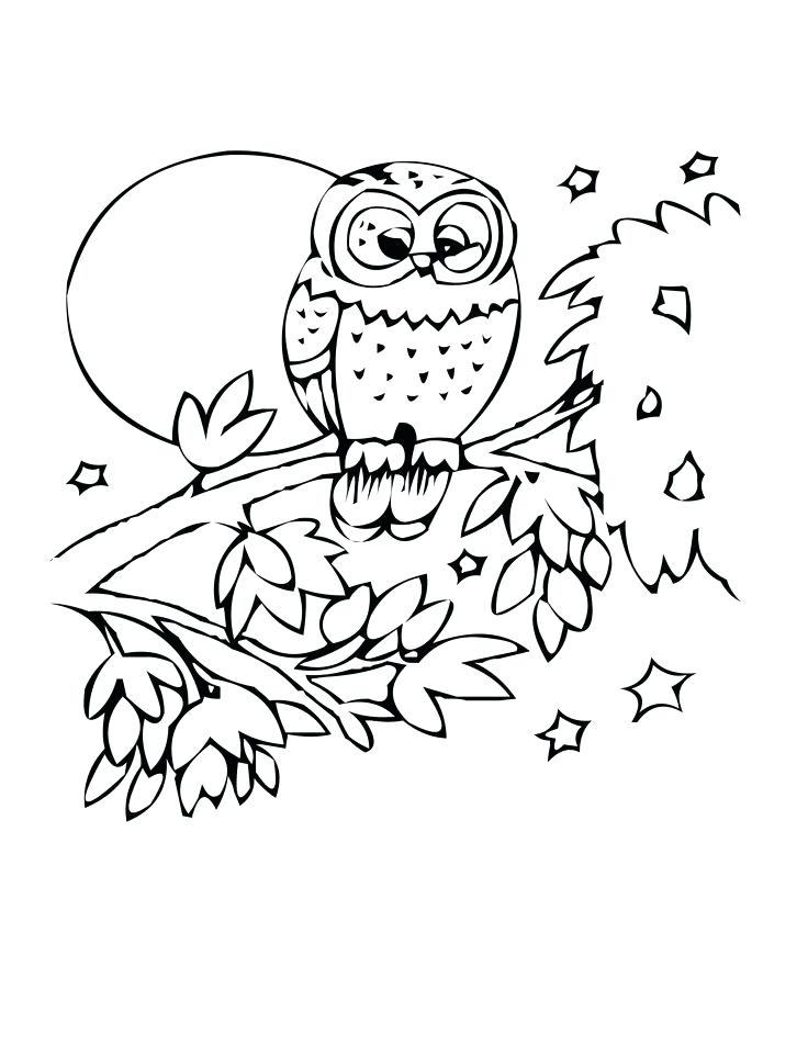 736x952 Charming Milkshake Coloring Pages Owl Coloring Page Bird Milkshake