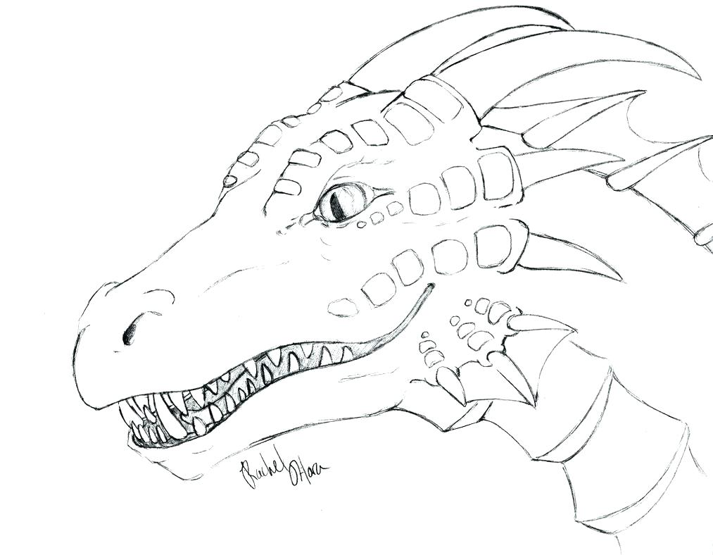 1013x788 Chinese Dragon Fly Over The Clouds Coloring Pages Thanksgiving