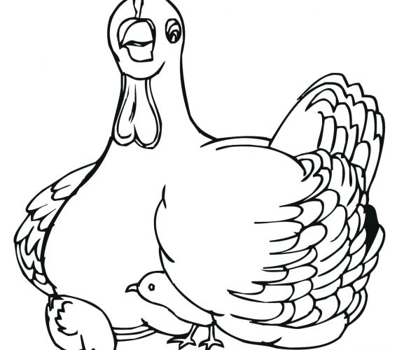 567x500 Coloring Page ~ Chicken Coloring Page Baby Farm Animal Minecraft