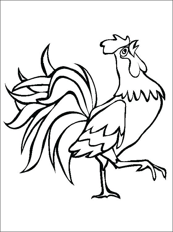 560x750 Chicken Coloring Page New Year Year Of The Rooster Coloring Page