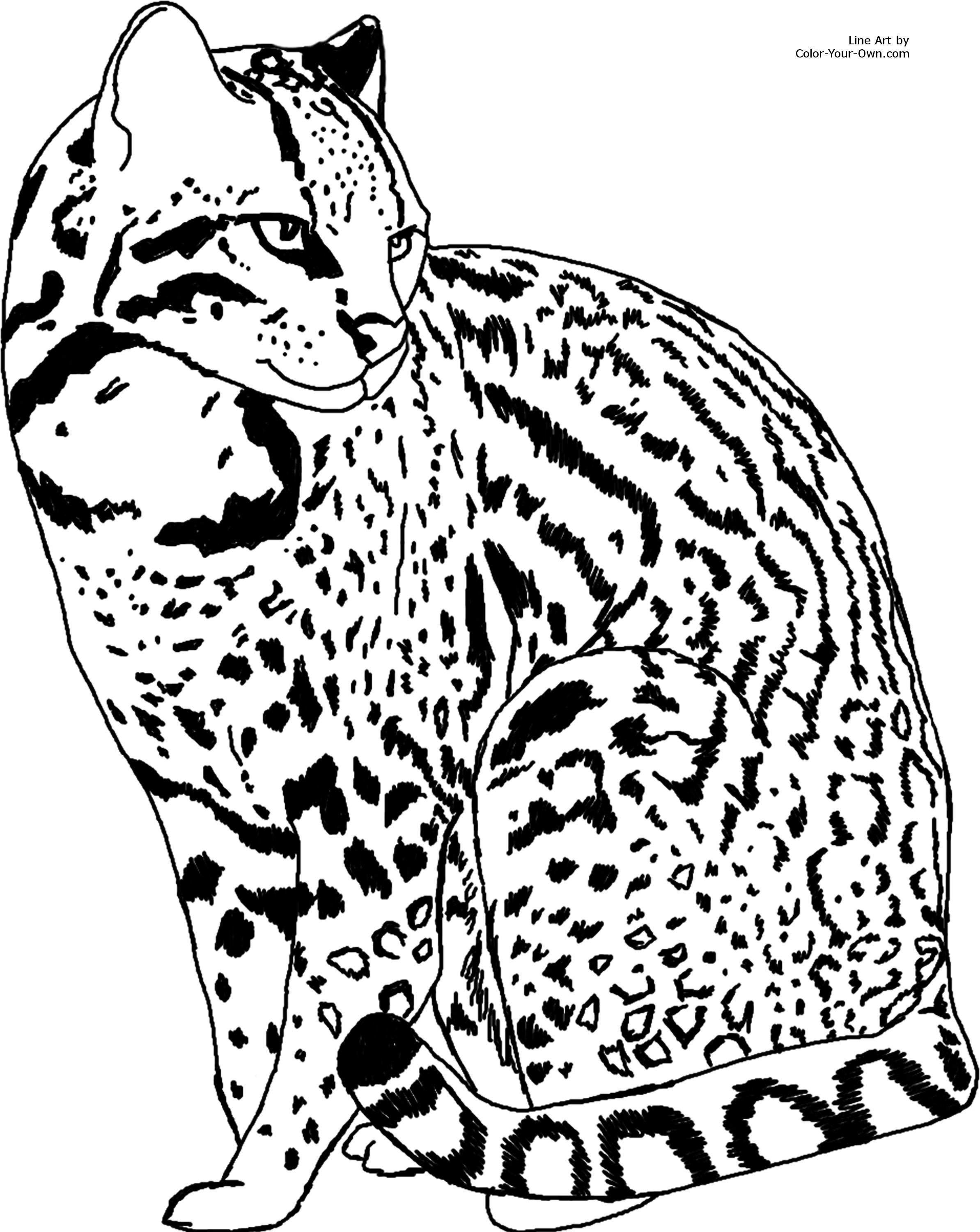 2387x3000 Coloring Page