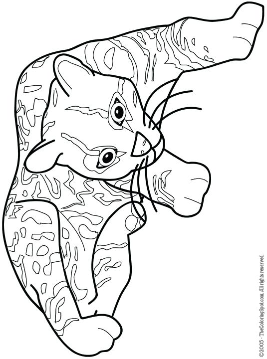 535x720 Ocelot Coloring Page Ocelot Minecraft Ocelot Colouring Pages