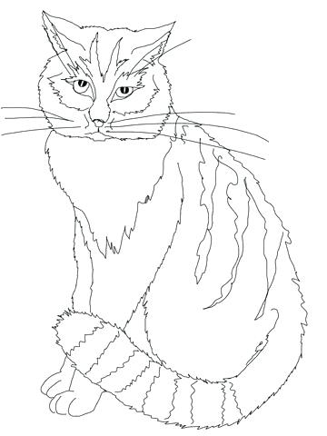 360x480 Coloring Ocelot Coloring Page Free Pages Sword Baby Minecraft