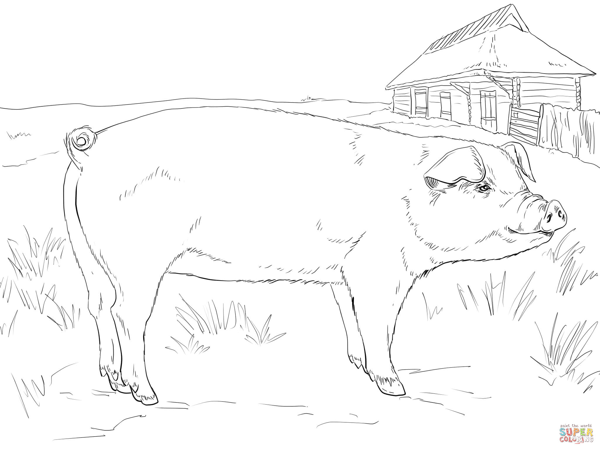 2048x1536 Pig Coloring Pages Cartoon Porky Page Animal Flying Minecraft Barfwa