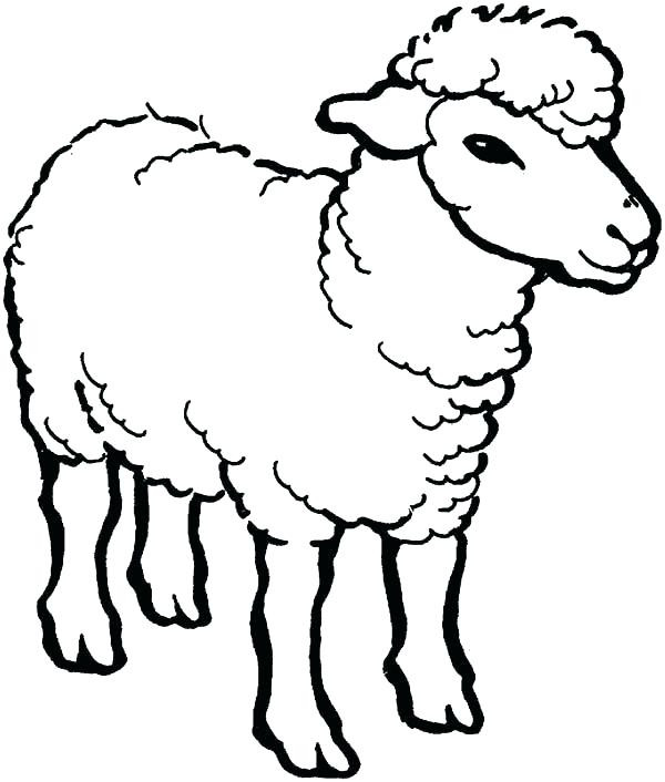 Minecraft Sheep Coloring Pages