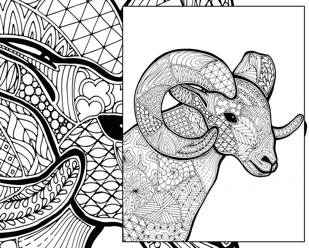 1024x821 Coloring Pages ~ Sheep Coloring Page Pages The Lost Bible Story