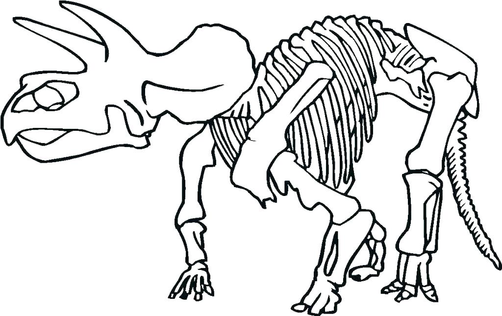 1024x645 Skeleton Coloring Page Pirate Skeleton Coloring Pages Dinosaur