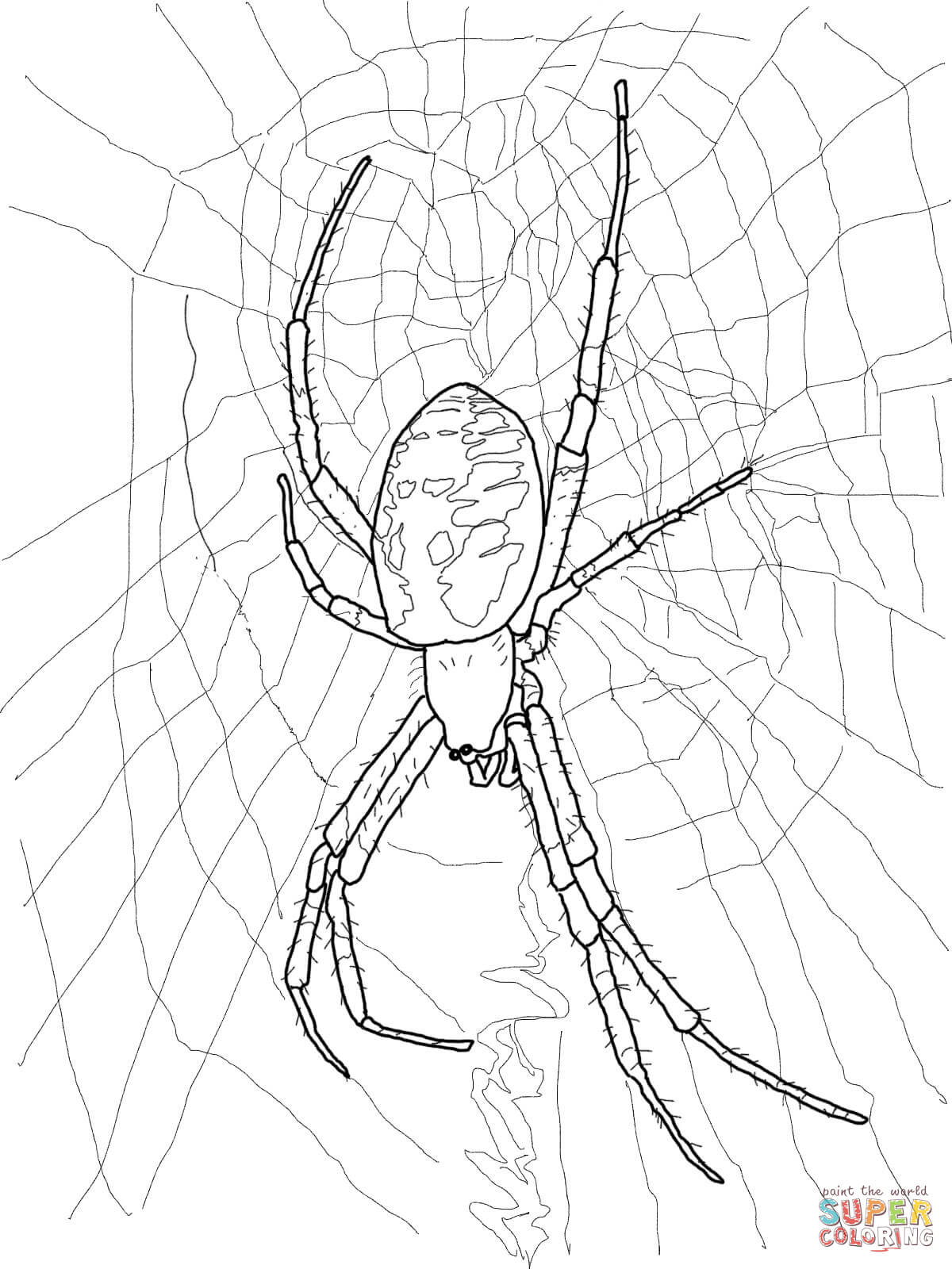 1200x1600 Minecraft Coloring Kids Spider Pages Printable For Toddlers