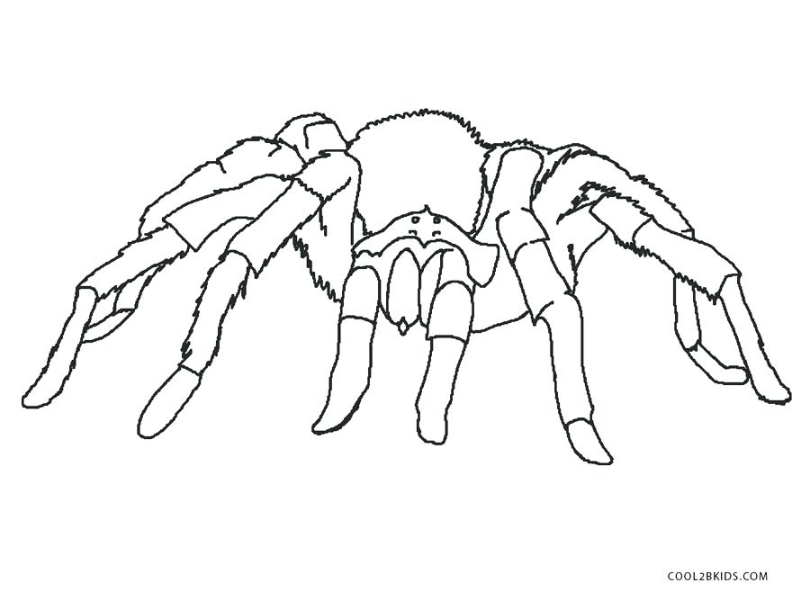 900x668 Minecraft Spider Coloring Pages Spider Coloring Pages Minecraft