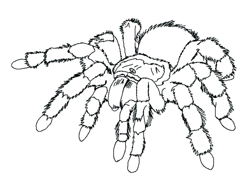 863x667 Printable Coloring Pages Simple Coloring Books Printable Coloring