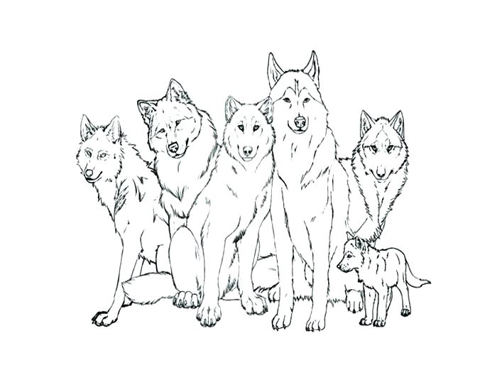 700x525 Minecraft Wolf Coloring Pages