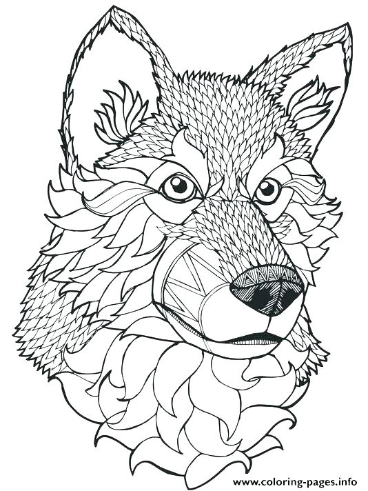 534x712 Coloring Pages Of Wolves Wolf Color Pages Wolf Color Pages Image